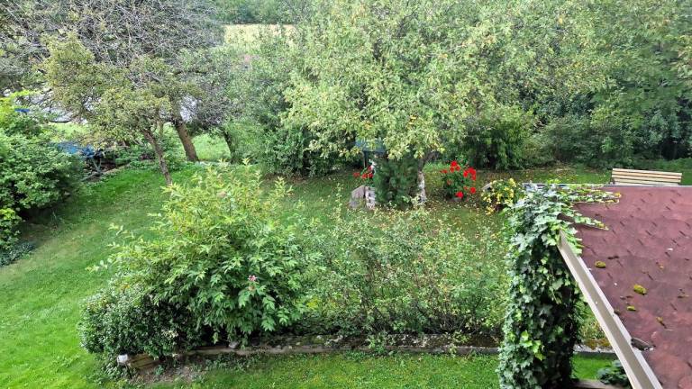 foto32