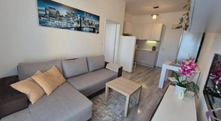 Rental apartment | Pet-friendly in Bratislava