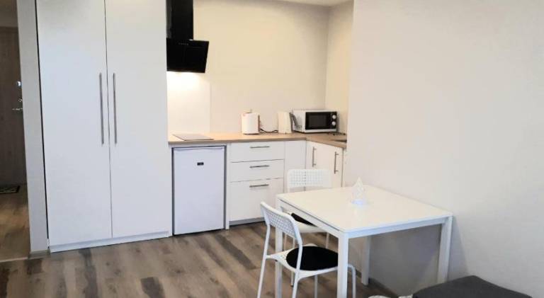 Apartment with 1 room for 3 persons — photo 3