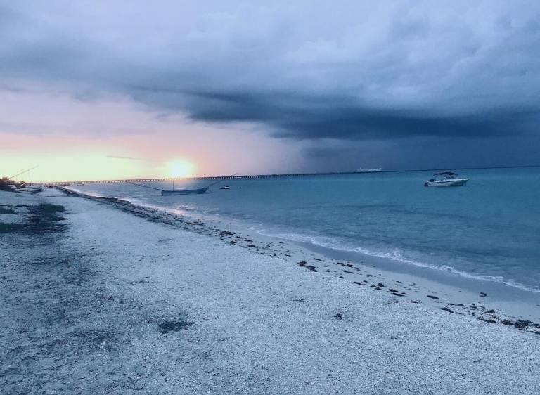 AMA Yucatan in Progreso