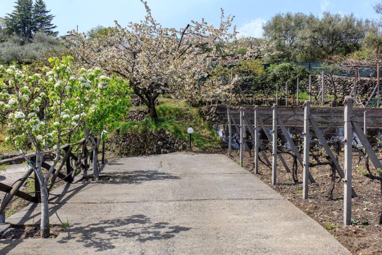 Ferienhaus in Piedimonte Etneo für max. 4 Personen Ferienhaus in Piedimonte Etneo für max. 4 Personen
