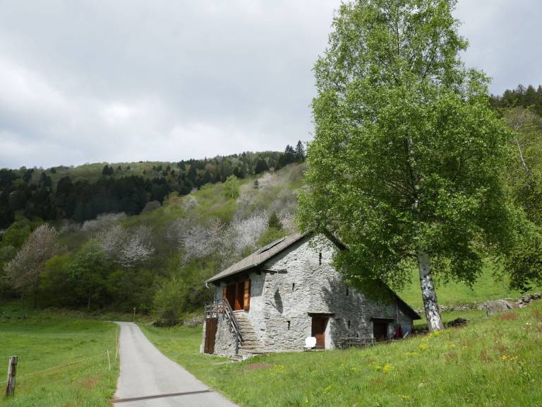 Casa  Campo