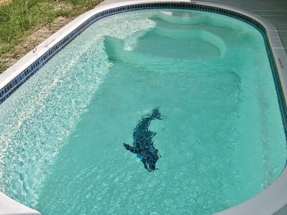 Family-friendly house with private pool | Beach nearby | Pets are welcome — photo 2