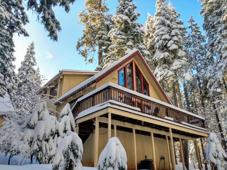 Cabin  Dorrington