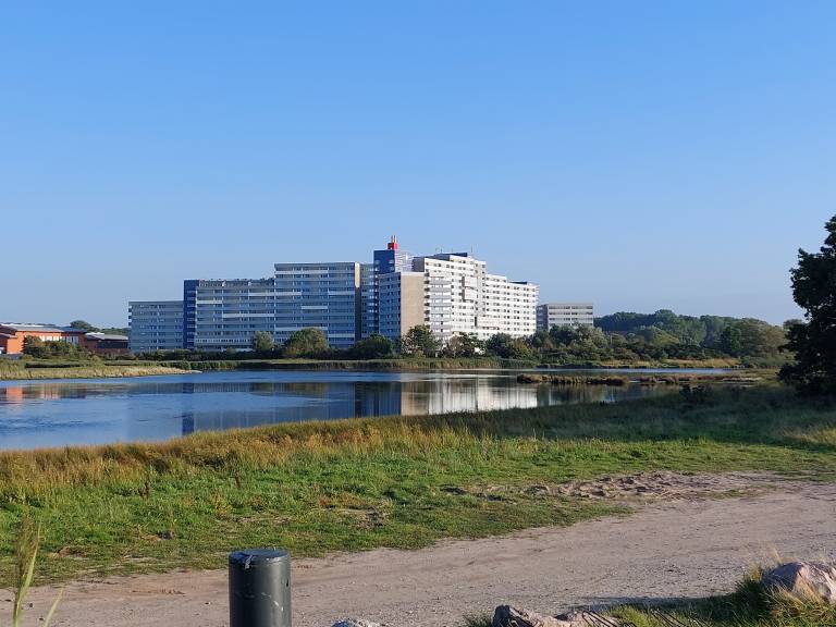 foto16
