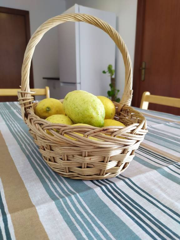 Apartamento Andrães