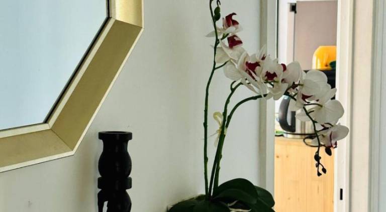 Self-Check in Sunny & Charming Apt — photo 3