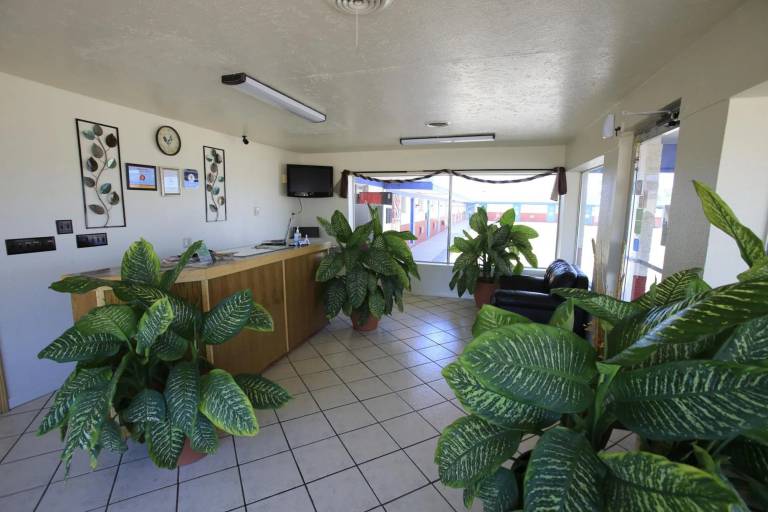 Motel Shamrock