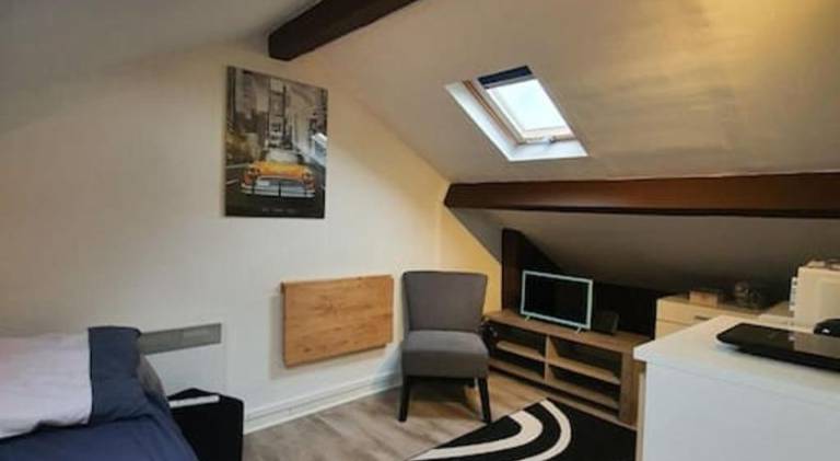 Nice holiday apartment | Dogs allowed in Limoges
