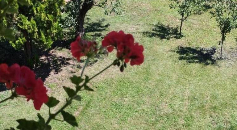 foto39