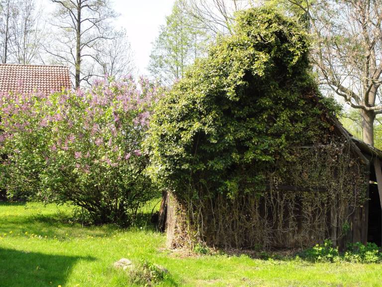 Ferienhaus Burg (Spreewald)