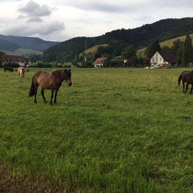 foto19