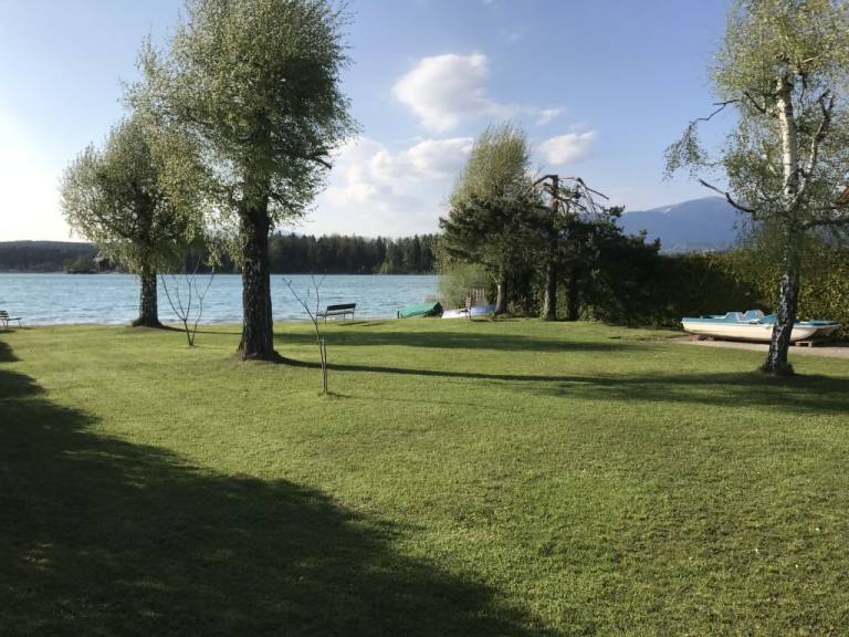 foto46