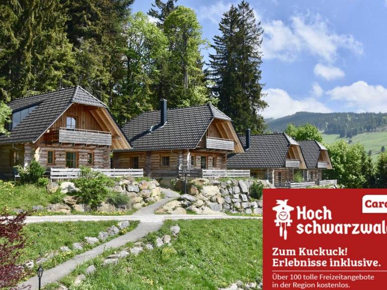 Ferienhaus Todtnauberg
