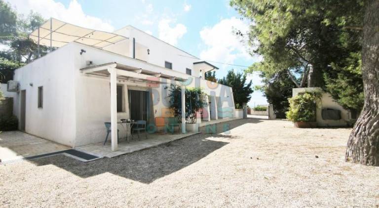 House with 1 room for 3 persons in Patu