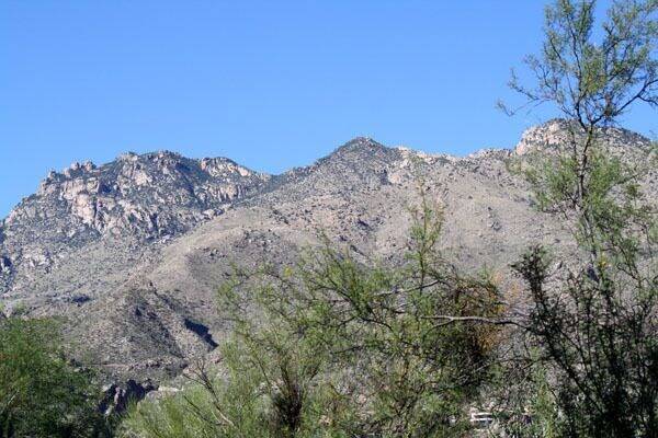 Condo Catalina Foothills