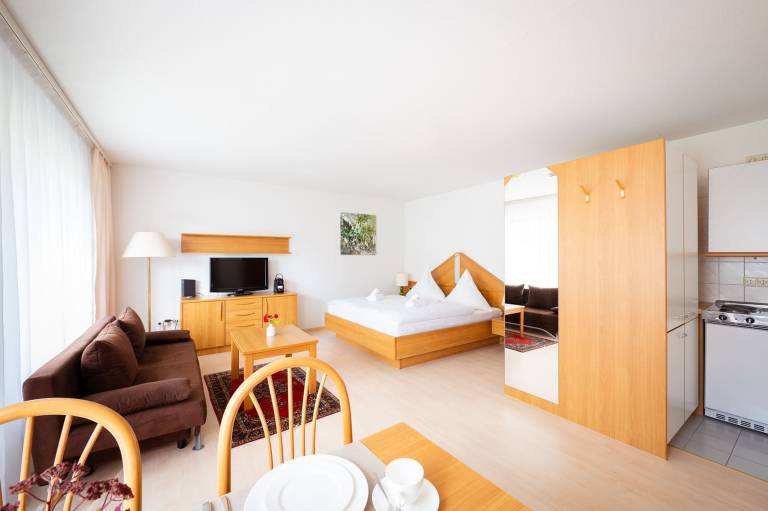 Studio | Garden view in Bad Saeckingen