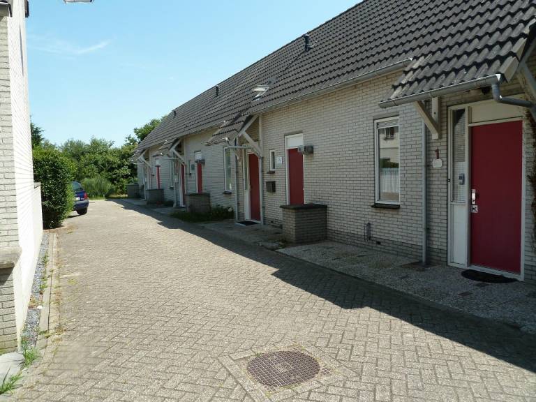 foto1