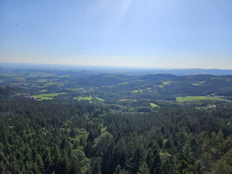 foto47