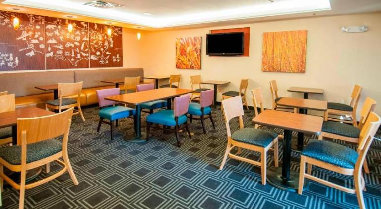 TownePlace Suites by Marriott Baton Rouge Gonzales — photo 5