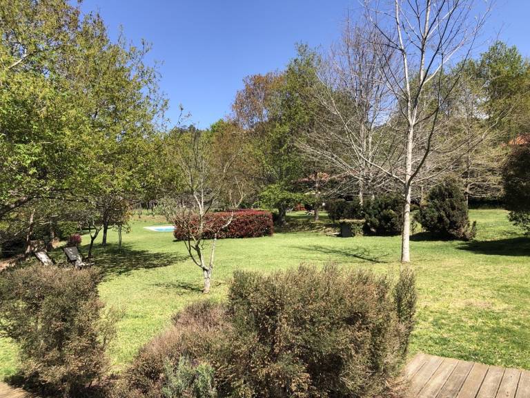 foto19