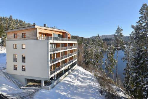 Apartment Lipno Dam