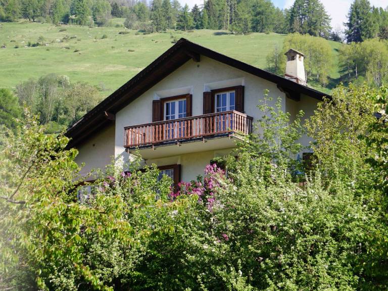 Holiday apartment with patio | Dogs allowed — photo 2