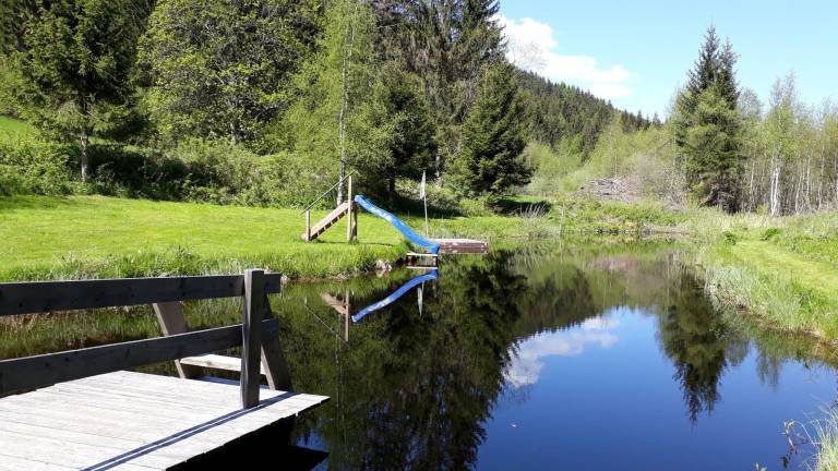 Apartment with BBQ, yard & sauna — photo 2