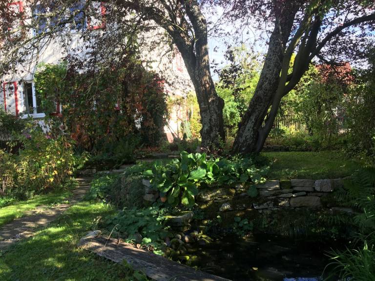 foto30