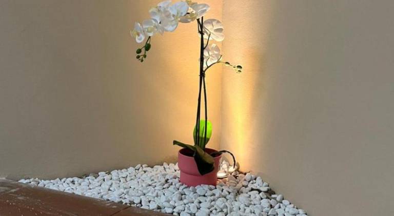 foto32