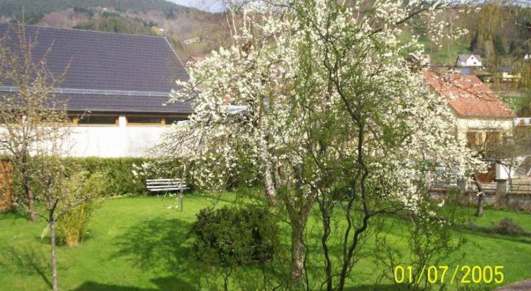 Le Kalblin in Riquewihr