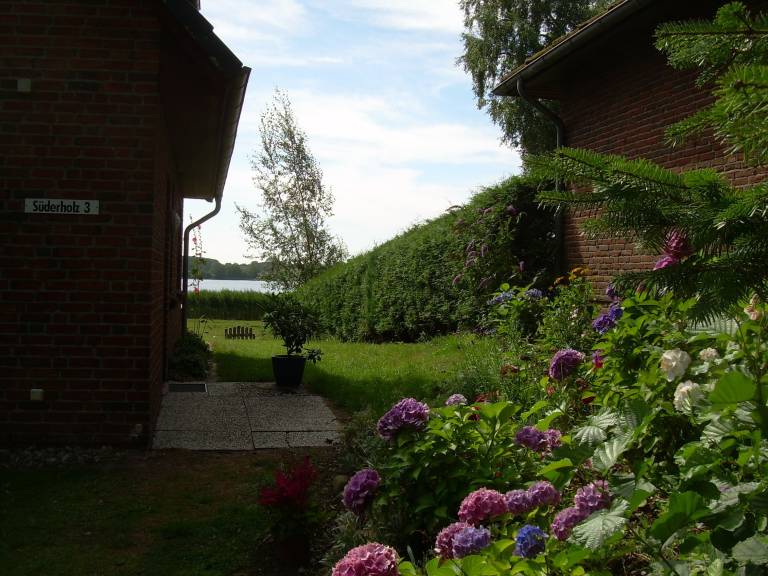 foto9