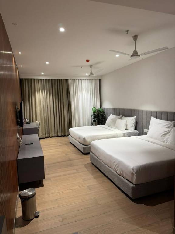 Assembly By The Democracy