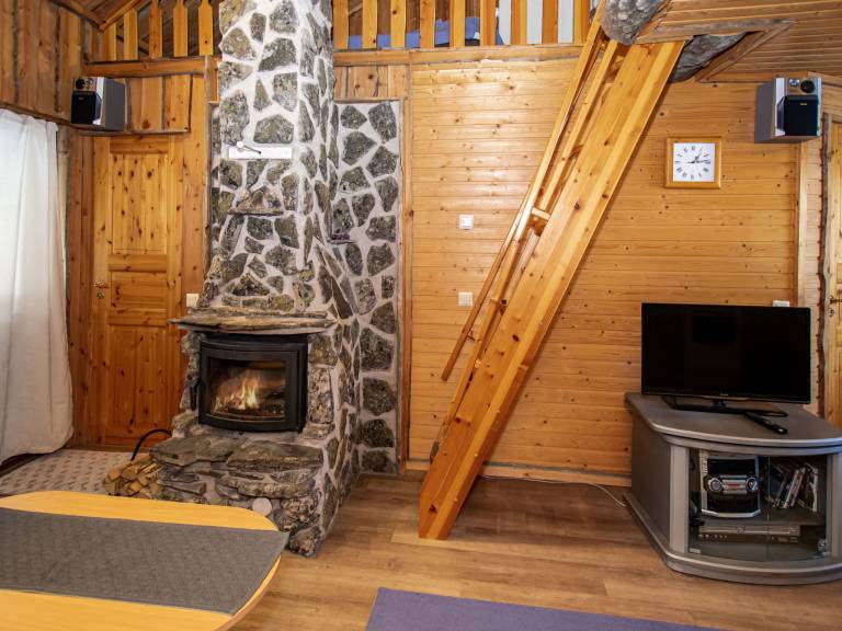 Vacation home with sauna & terrace — photo 5