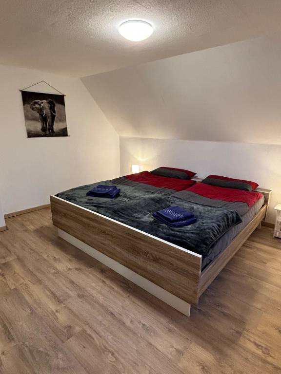 foto19