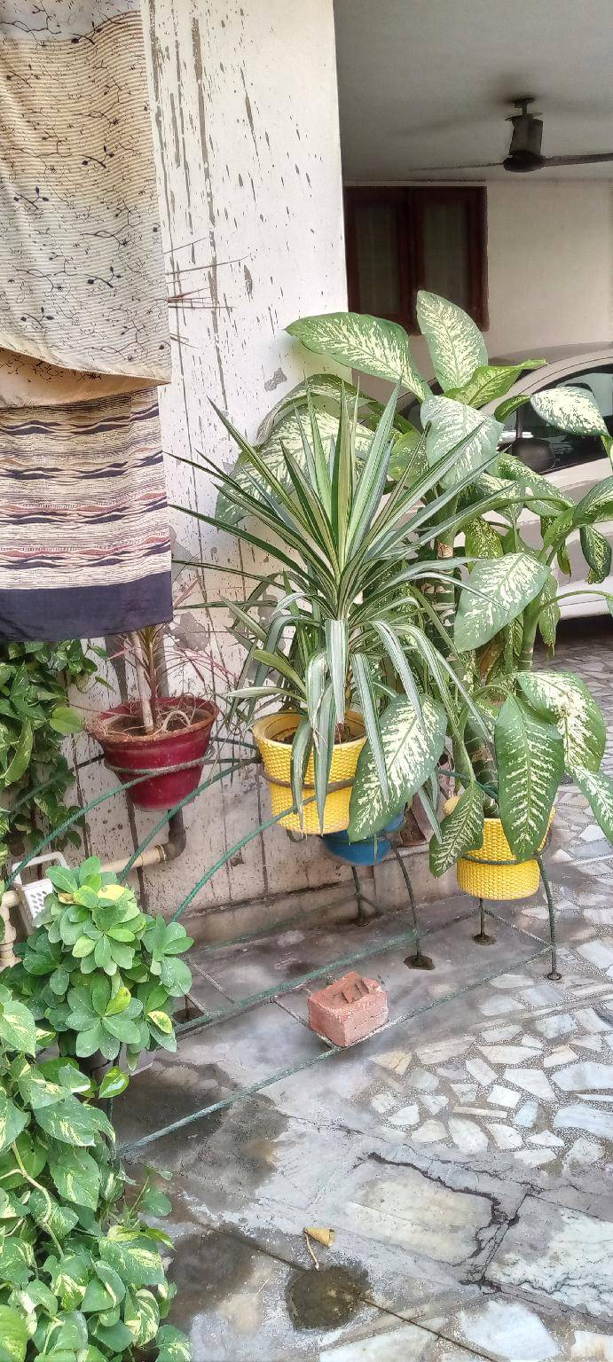 foto17