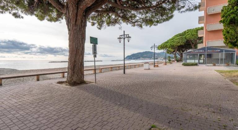 Charming holiday apartment | Beach nearby | Dogs allowed — photo 4
