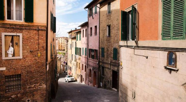 Lovely rental apartment | Next to Piazza del Campo | Pet-friendly — photo 5