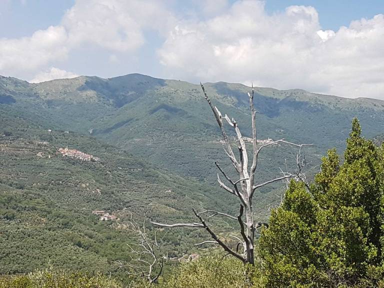 foto48