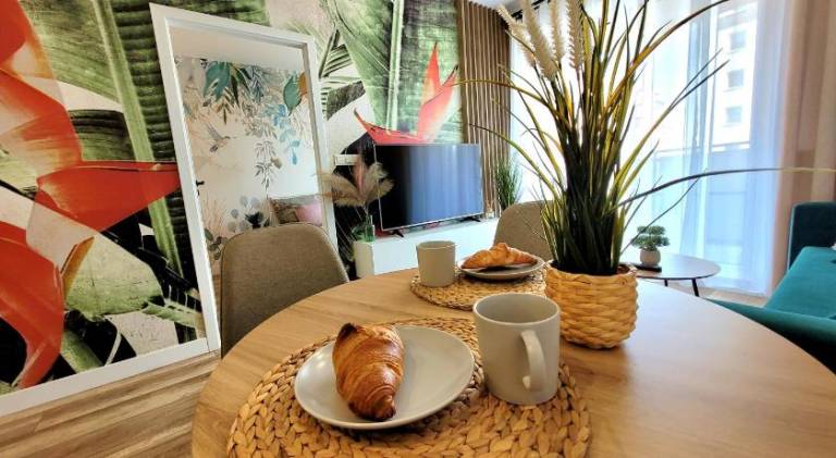 Rental apartment with 1 room for 4 persons in Bydgoszcz