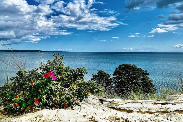 House with terrace — photo 5