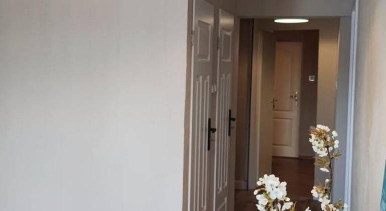 Nice rental apartment | Close to the beach | Dogs allowed — photo 4