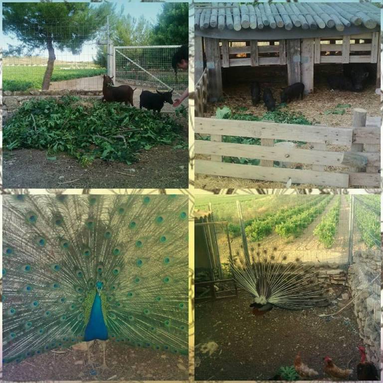 foto18