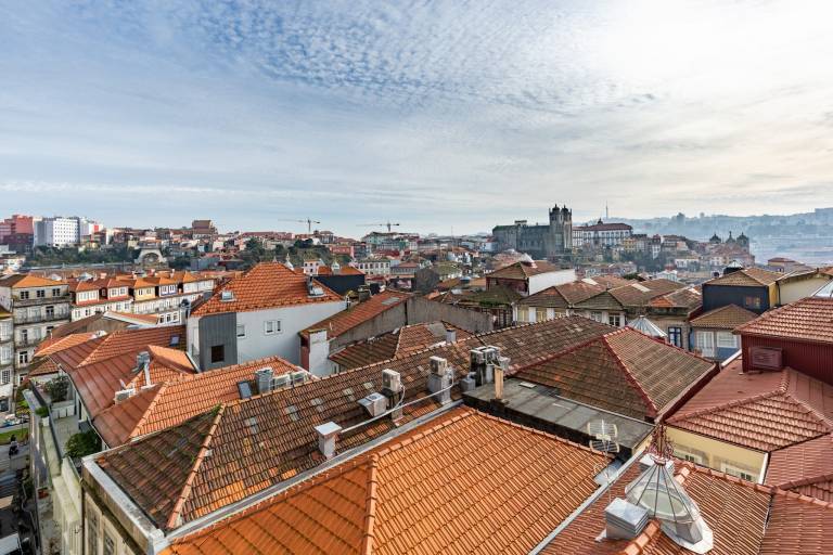 YOUROPO Cl&eacute;rigos 3B
