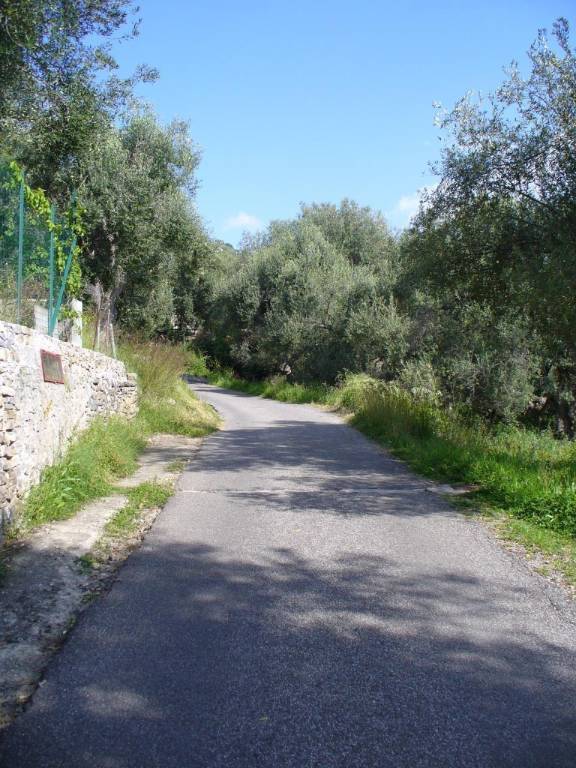 foto45