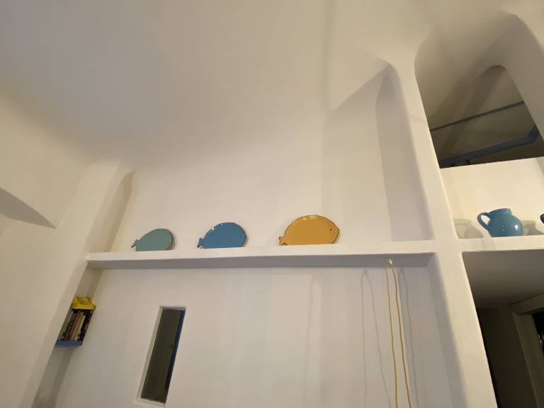 foto8