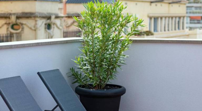 Rental apartment with patio | Next to Park Güell — photo 5