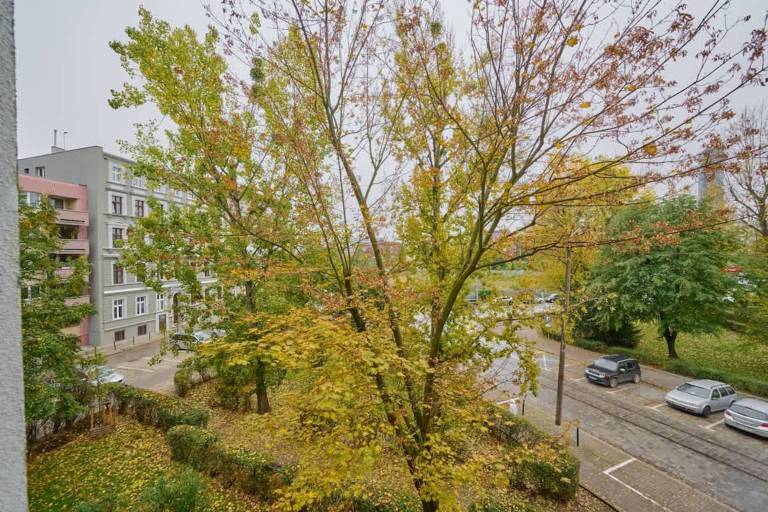 Studio | Next to Royal Palace — photo 4