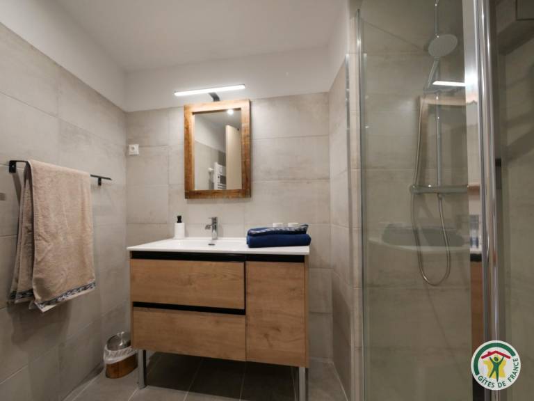 Gite with terrace — photo 4