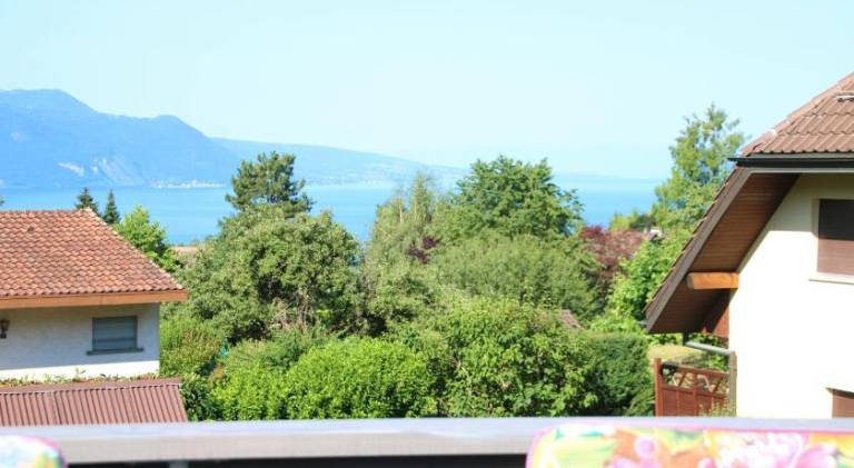 Holiday apartment | Dogs allowed in Vevey